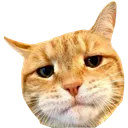 dad