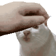 nard_gay Discord emoji