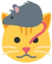rat_on_cat