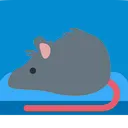 rat_couch_2a
