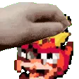 half_pet half_pet