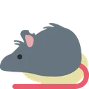 rat_pee