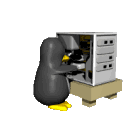 serverbugs