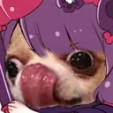 HokuDog