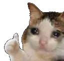 Sad Cat Thumb Discord Emoji