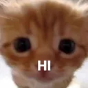 c_hi c_hi
