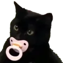 binkycat binkycat