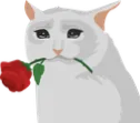 sadcat