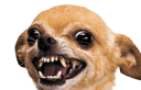 demondog