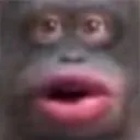 monke