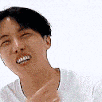 hobi_lol Discord emoji