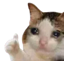 Thumbsupcat thumbsupcat Discord Emoji