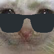 selfdepricatione Discord emoji