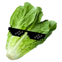 lettucedeal