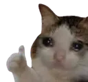 Thumbs Up Cat thumbsupcat Discord Emoji