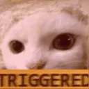 triggercat Discord Emoji