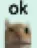 ok ok