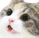 grandcat