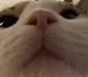 bruh