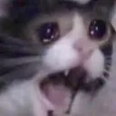 AHHHHHHGG AHHHHHHGG