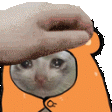 CatCutiePat