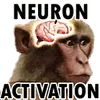 NeuronActivation