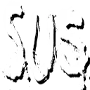Sus