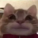 stare