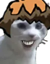 Subcribercat