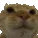 catno