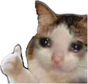 sadthumbsup
