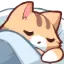 catsleep