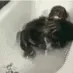 bathmonke bathmonke