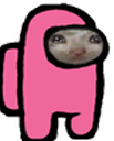 DoD_AmongUs_PinkSadcat Discord emoji
