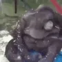 monkefall monkefall