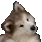 Cute_Doggo