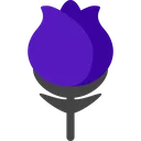 rose_blue rose_blue