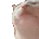 catJAM2 catJAM2