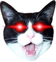 lazercat