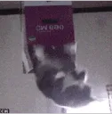 SCjump2