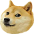 ConcernDoge