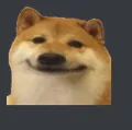 dogemen dogemen