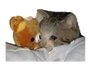 SadComfy