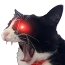 gx_angrylazercat gx_angrylazercat