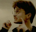 harry_spider