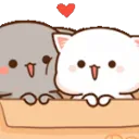 AMcatbox