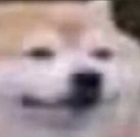 M25_apexm_okie Discord emoji
