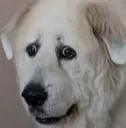 scared