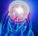 my_absolute_brain