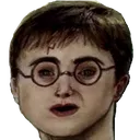 :harry: harry